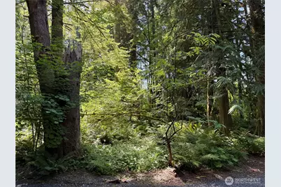 0 Silver Lake Road, Maple Falls, WA 98266 - Photo 2