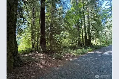 0 Silver Lake Road, Maple Falls, WA 98266 - Photo 1