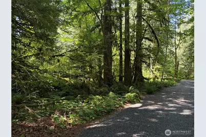 0 Silver Lake Road, Maple Falls, WA 98266 - Photo 6