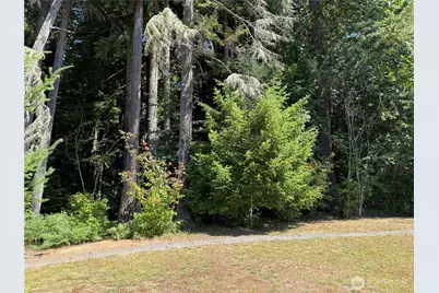 0 Silver Lake Road, Maple Falls, WA 98266 - Photo 8