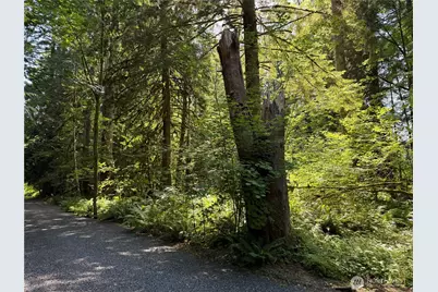 0 Silver Lake Road, Maple Falls, WA 98266 - Photo 4