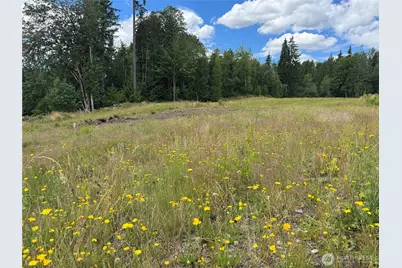 0 328th Avenue NE, Duvall, WA 98019 - Photo 1