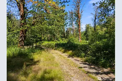 0 0Sr 508, Morton, WA 98356 - Photo 4