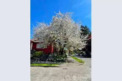 6702 5th Avenue NW, Seattle, WA 98117 - Photo 32