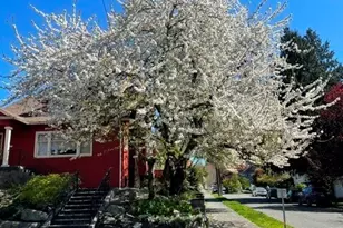 6702 5th Ave NW, Seattle, WA 98117 - Photo 32
