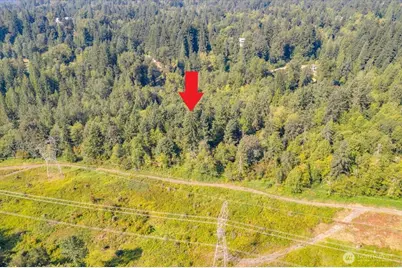 19721 312th Avenue NE, Duvall, WA 98019 - Photo 8