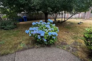 20317 124th St Ct E, Bonney Lake, WA 98391 - Photo 26