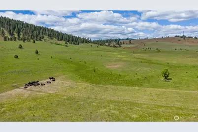 1371 Bettas Road, Cle Elum, WA 98926 - Photo 28