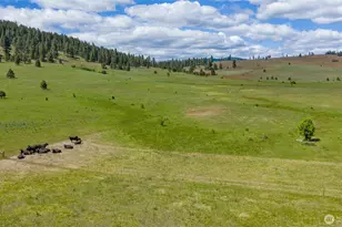 1371 Bettas Rd, Cle Elum, WA 98926 - Photo 28