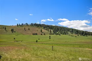 1371 Bettas Rd, Cle Elum, WA 98926 - Photo 30
