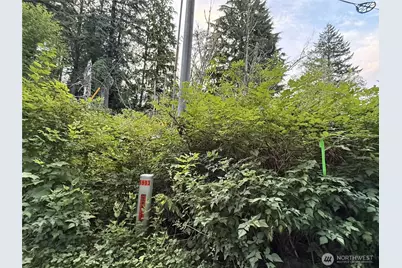 1 Bumgarner Road, Arlington, WA 98223 - Photo 2