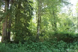 0 South Shore Dr, Mount Vernon, WA 98274 - Photo 1