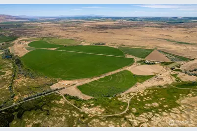 615 S Obrian Road, Othello, WA 99344 - Photo 4