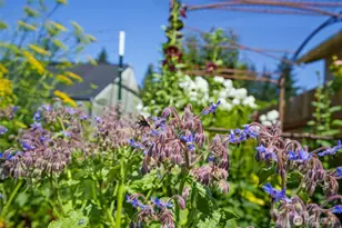 10501 25th Dr SE, Everett, WA 98208 - Photo 28
