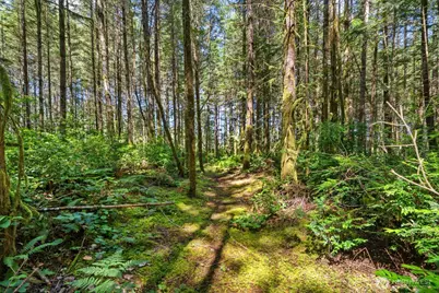 630 NW Coleman Court, Poulsbo, WA 98370 - Photo 24