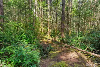 630 NW Coleman Court, Poulsbo, WA 98370 - Photo 20