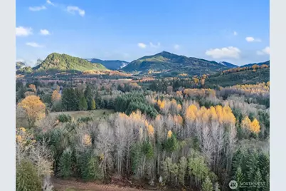 2 Roosevelt Road, Mineral, WA 98356 - Photo 6