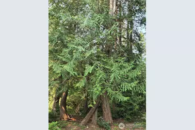 3417 188th Avenue NW, Lakebay, WA 98349 - Photo 28