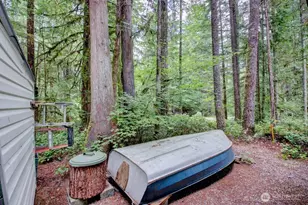 282 Schinn Canyon Dr, Deming, WA 98244 - Photo 12