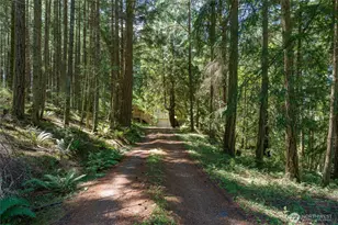 76 Lookout Loop, Orcas Island, WA 98245 - Photo 2