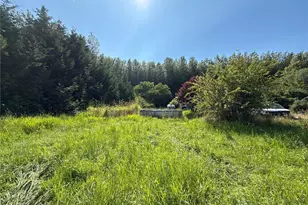 664 State Route 409, Cathlamet, WA 98612 - Photo 36