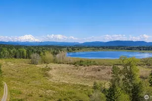 40317 Dean Kreger Rd E, Eatonville, WA 98328 - Photo 1