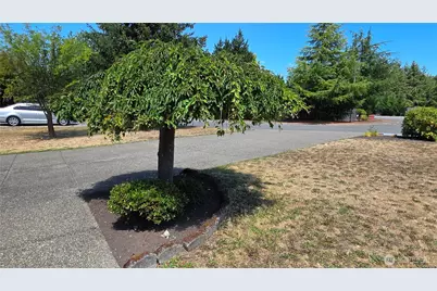 128 Berggren Road N, Eatonville, WA 98328 - Photo 38