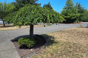 128 Berggren Rd N, Eatonville, WA 98328 - Photo 38