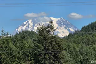 128 Berggren Rd N, Eatonville, WA 98328 - Photo 6