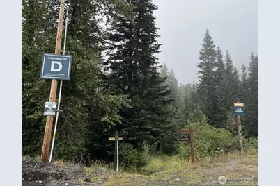 31008 Ski Club Lane #10, Enumclaw, WA 98022 - Photo 34