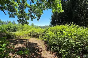 123 Mulford St, Toledo, WA 98591 - Photo 1