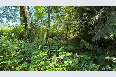 123 Mulford Street, Toledo, WA 98591 - Photo 6