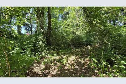 123 Mulford Street, Toledo, WA 98591 - Photo 4