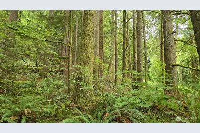 33317 SE Kent Kangley Road, Ravensdale, WA 98051 - Photo 12
