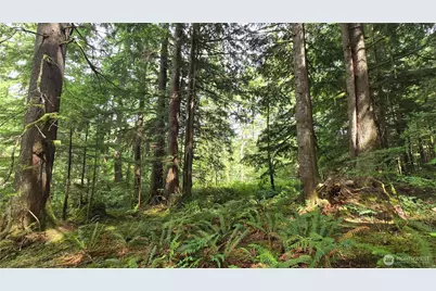 33317 SE Kent Kangley Road, Ravensdale, WA 98051 - Photo 10