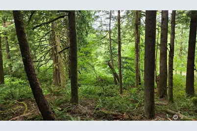 33317 SE Kent Kangley Road, Ravensdale, WA 98051 - Photo 18