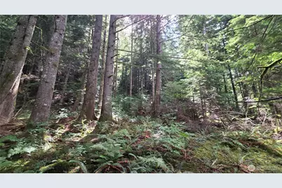 33317 SE Kent Kangley Road, Ravensdale, WA 98051 - Photo 22