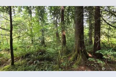 33317 SE Kent Kangley Road, Ravensdale, WA 98051 - Photo 24