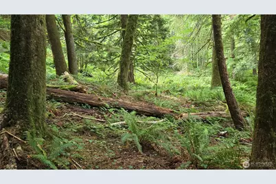 33317 SE Kent Kangley Road, Ravensdale, WA 98051 - Photo 2