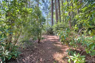 71 E Leisure Ln, Grapeview, WA 98546 - Photo 24