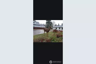 30506 N Place, Ocean Park, WA 98640 - Photo 12