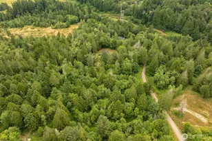 237 Piedmont Pl, Kelso, WA 98626 - Photo 32