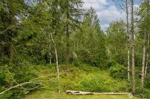 237 Piedmont Pl, Kelso, WA 98626 - Photo 30