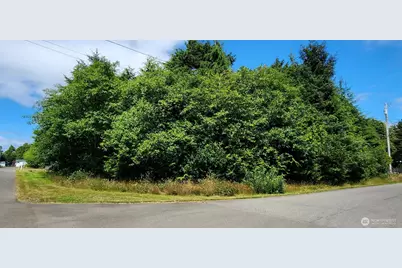 31 & 33 Paradise Lane, Pacific Beach, WA 98571 - Photo 2