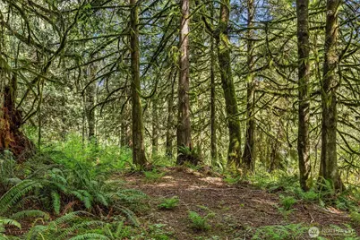 12500 60th Street NE, Lake Stevens, WA 98258 - Photo 34