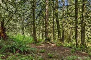 12500 60th St NE, Lake Stevens, WA 98258 - Photo 34