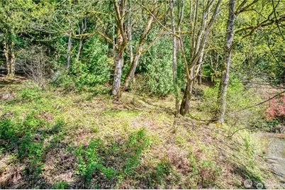 0 E Lake Sammamish Parkway NE, Sammamish, WA 98074 - Photo 10