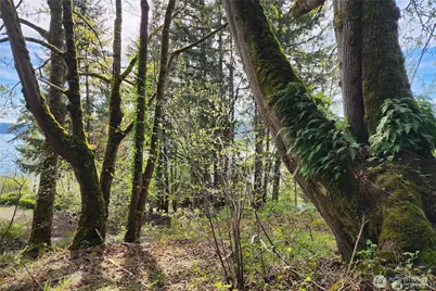 0 E Lake Sammamish Parkway NE, Sammamish, WA 98074 - Photo 8