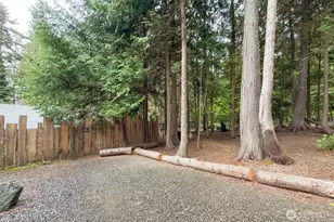 392 Buck Loop Rd, Sequim, WA 98382 - Photo 24