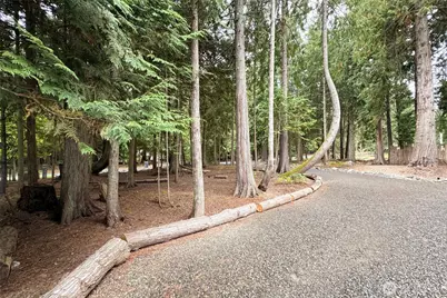 392 Buckloop Road, Sequim, WA 98382 - Photo 34
